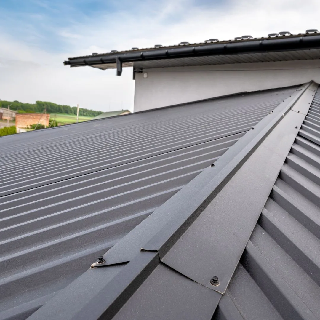 Home with dark metal roofing in High Springs, FL