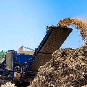 An image of forestry mulching in Lake City, FL.